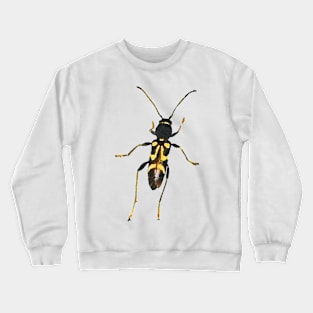 Round-necked Longhorn Beetle Crewneck Sweatshirt